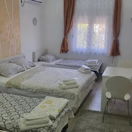 Mango * טרביניה